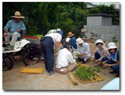 米作り(田植え)