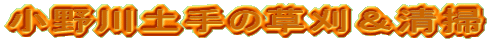 y̑|