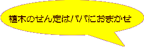 �A�؂̂����̓p�p�ɂ��܂��� 