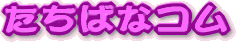 ΂ȃR